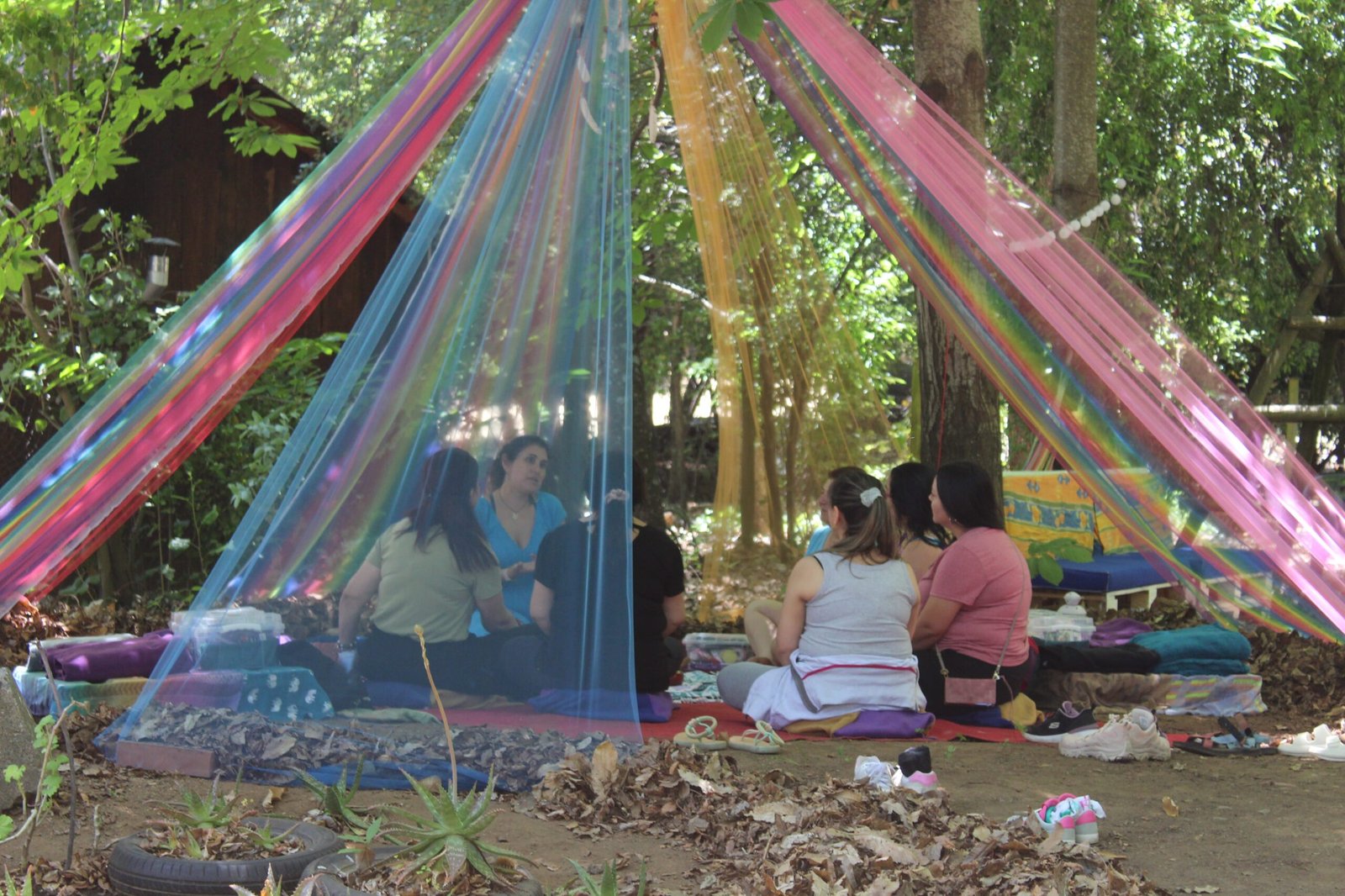 Reserva Taller Vivencial medicina de los elementos - Imagen 2