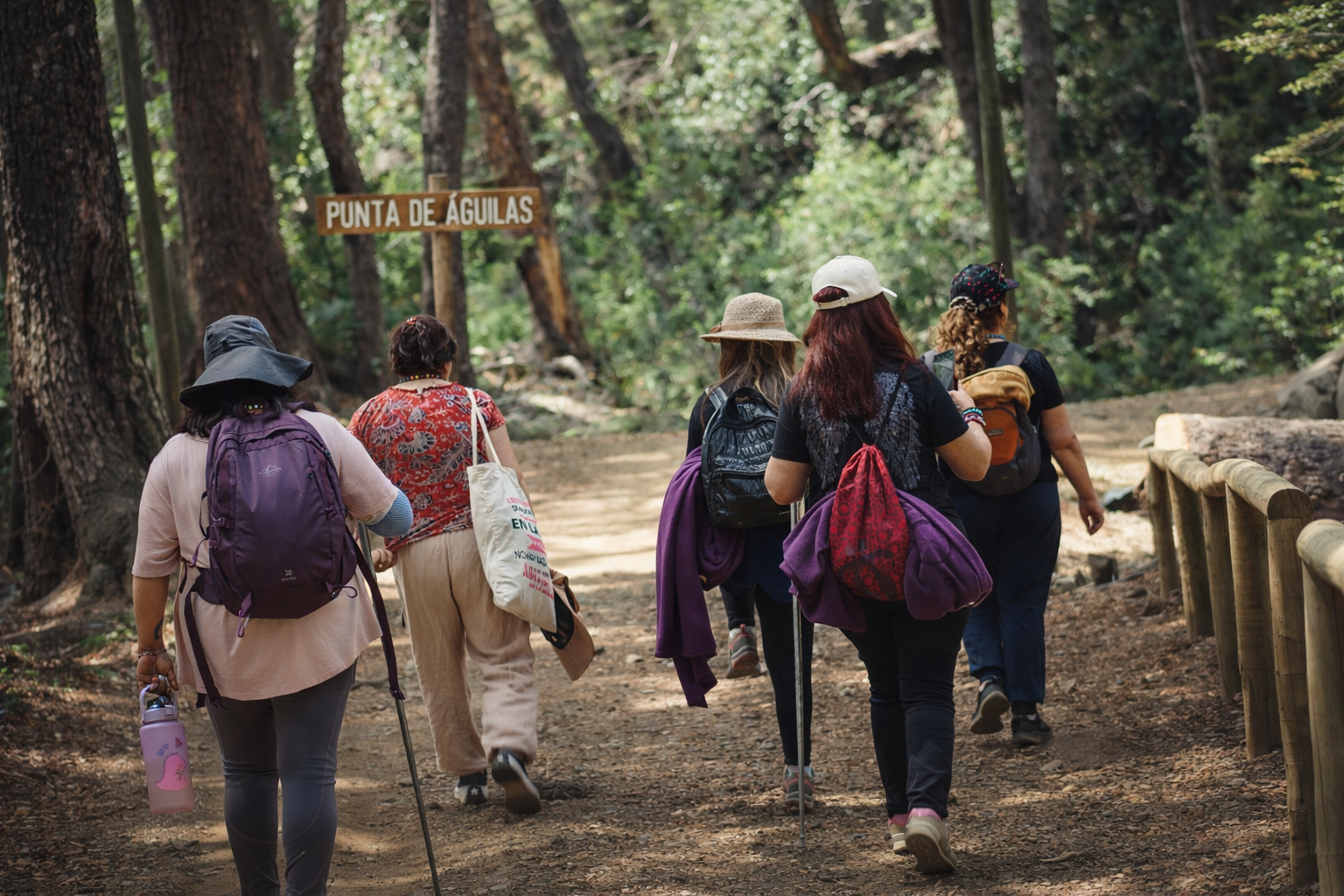 Reserva Taller Vivencial medicina de los elementos - Imagen 6
